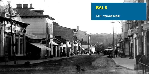 str-voevod-mihai